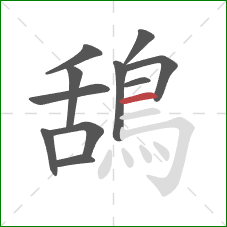 鴰的笔顺第11画:横 鴰的笔顺第11画:横