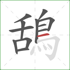 鴰的笔顺第12画:横 鴰的笔顺第12画:横