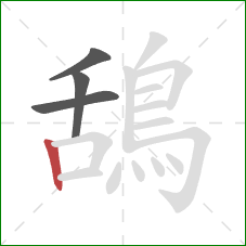 鴰的笔顺第4画:竖 鴰的笔顺第4画:竖