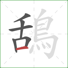 鴰的笔顺第6画:横 鴰的笔顺第6画:横