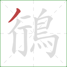 鴴的笔顺第1画:撇 鴴的笔顺第1画:撇