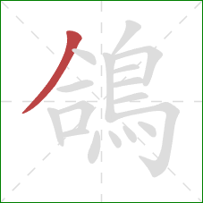 鴿的笔顺第1画:撇 鴿的笔顺第1画:撇