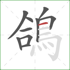 鴿的笔顺第10画:横 鴿的笔顺第10画:横