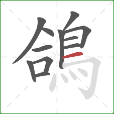 鴿的笔顺第12画:横 鴿的笔顺第12画:横