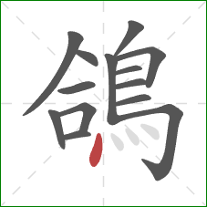 鴿的笔顺第14画:点 鴿的笔顺第14画:点