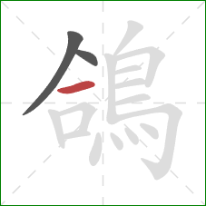 鴿的笔顺第3画:横 鴿的笔顺第3画:横