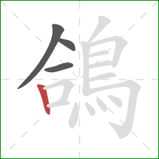 鴿的笔顺第4画:竖 鴿的笔顺第4画:竖