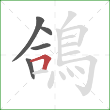 鴿的笔顺第5画:横折 鴿的笔顺第5画:横折