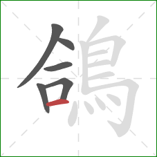 鴿的笔顺第6画:横 鴿的笔顺第6画:横