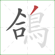 鴿的笔顺第7画:撇 鴿的笔顺第7画:撇