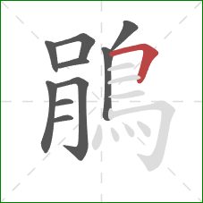 鵑的笔顺第10画：横折