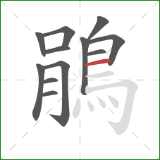 鵑的笔顺第12画：横