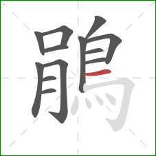 鵑的笔顺第13画：横