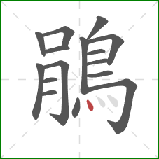 鵑的笔顺第16画：点