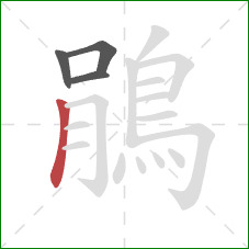 鵑的笔顺第4画：竖