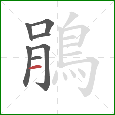 鵑的笔顺第7画：横