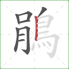 鵑的笔顺第9画：竖