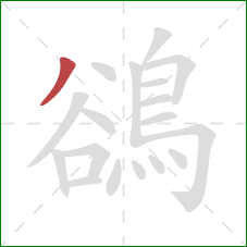 鵒的笔顺第1画:撇 鵒的笔顺第1画:撇