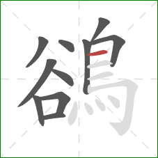 鵒的笔顺第11画:横 鵒的笔顺第11画:横