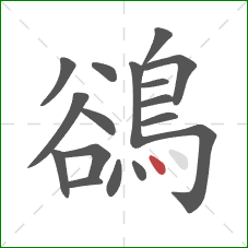 鵒的笔顺第17画:点 鵒的笔顺第17画:点