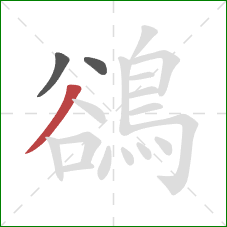 鵒的笔顺第3画:撇 鵒的笔顺第3画:撇