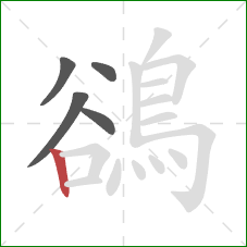 鵒的笔顺第5画:竖 鵒的笔顺第5画:竖