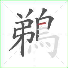 鵜的笔顺第11画：横
