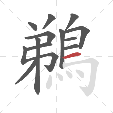 鵜的笔顺第13画：横
