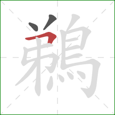 鵜的笔顺第3画：横折