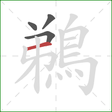 鵜的笔顺第4画：横