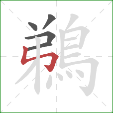 鵜的笔顺第5画：竖折折钩