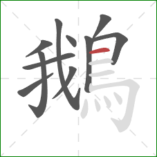 鵝的笔顺第11画:横 鵝的笔顺第11画:横