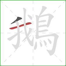 鵝的笔顺第2画:横 鵝的笔顺第2画:横