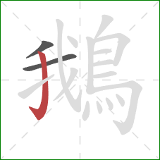 鵝的笔顺第3画:竖钩 鵝的笔顺第3画:竖钩