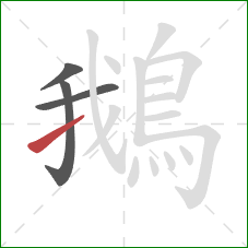 鵝的笔顺第4画:提 鵝的笔顺第4画:提