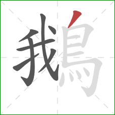 鵝的笔顺第8画:撇 鵝的笔顺第8画:撇