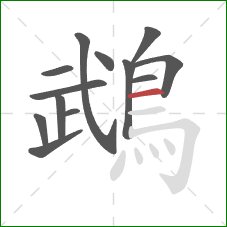 鵡的笔顺第13画:横 鵡的笔顺第13画:横