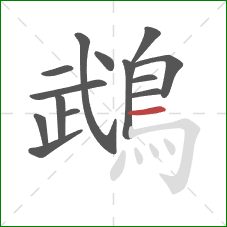 鵡的笔顺第14画:横 鵡的笔顺第14画:横