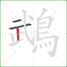 鵡的笔顺第3画:竖 鵡的笔顺第3画:竖