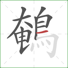 鵪的笔顺第14画：横