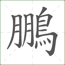 鵬的部首 鵬的部首