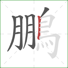 鵬的笔顺第10画:竖 鵬的笔顺第10画:竖