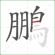 鵬的笔顺第13画:横 鵬的笔顺第13画:横