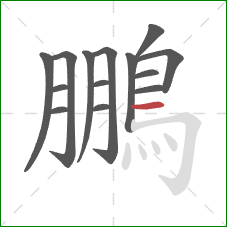 鵬的笔顺第14画:横 鵬的笔顺第14画:横