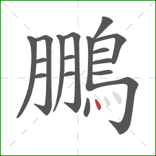 鵬的笔顺第17画:点 鵬的笔顺第17画:点