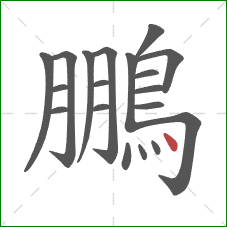 鵬的笔顺第19画:点 鵬的笔顺第19画:点