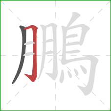 鵬的笔顺第2画:横折钩 鵬的笔顺第2画:横折钩