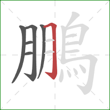 鵬的笔顺第6画:横折钩 鵬的笔顺第6画:横折钩