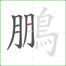 鵬的笔顺第7画:横 鵬的笔顺第7画:横