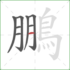 鵬的笔顺第8画:横 鵬的笔顺第8画:横